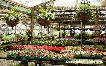 Half Moon Bay Nursery